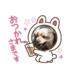 うちの子たちです♡（個別スタンプ：16）