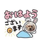 うちの子たちです♡（個別スタンプ：19）