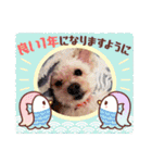 うちの子たちです♡（個別スタンプ：20）