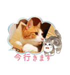 うちの子たちです♡（個別スタンプ：23）