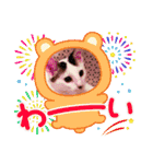 うちの子たちです♡（個別スタンプ：24）