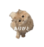 もずのスタンプ（個別スタンプ：21）
