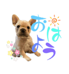我が家の6buhi（個別スタンプ：1）