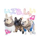 我が家の6buhi（個別スタンプ：2）