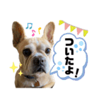 我が家の6buhi（個別スタンプ：16）