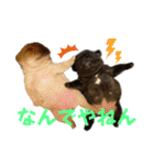 我が家の6buhi（個別スタンプ：28）