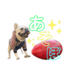 我が家の6buhi（個別スタンプ：29）