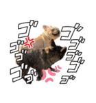 我が家の6buhi（個別スタンプ：33）