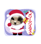 ギンねこちゃん（個別スタンプ：4）