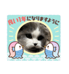 ギンねこちゃん（個別スタンプ：15）