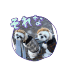 むーたんらーたんPART2（個別スタンプ：7）