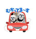 むーたんらーたんPART2（個別スタンプ：15）