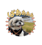 むーたんらーたんPART2（個別スタンプ：16）