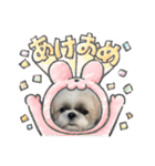 むーたんらーたんPART2（個別スタンプ：20）
