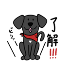 おしゃべり犬のクロエちゃま（個別スタンプ：10）