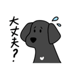 おしゃべり犬のクロエちゃま（個別スタンプ：12）