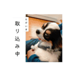 シャイニーの日常（個別スタンプ：3）