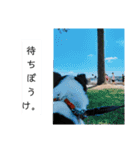 シャイニーの日常（個別スタンプ：5）