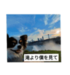 シャイニーの日常（個別スタンプ：15）