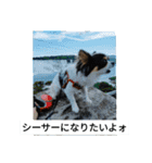 シャイニーの日常（個別スタンプ：16）