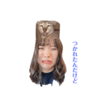 シーまん（個別スタンプ：19）