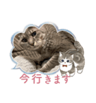 ウチのムートン君（個別スタンプ：13）