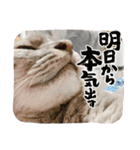 ウチのムートン君（個別スタンプ：14）