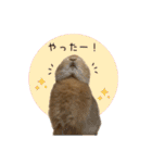 うさぎのスタンプ★Gelée ＆ Sucré（個別スタンプ：2）