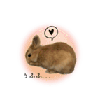 うさぎのスタンプ★Gelée ＆ Sucré（個別スタンプ：4）