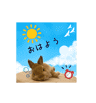 うさぎのスタンプ★Gelée ＆ Sucré（個別スタンプ：13）
