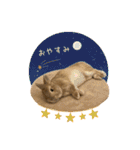 うさぎのスタンプ★Gelée ＆ Sucré（個別スタンプ：14）