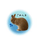うさぎのスタンプ★Gelée ＆ Sucré（個別スタンプ：16）