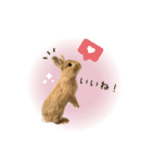 うさぎのスタンプ★Gelée ＆ Sucré（個別スタンプ：18）