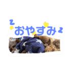 リュウ＆ジェシー 2（個別スタンプ：4）