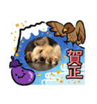 年末ヨーキー（個別スタンプ：3）