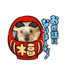 年末ヨーキー（個別スタンプ：11）
