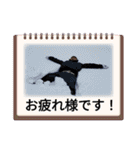 おっさん古物（個別スタンプ：15）