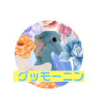 マメルリハのリル20（個別スタンプ：1）