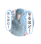 マメルリハのリル20（個別スタンプ：7）