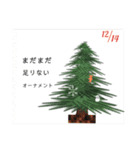 毎年使えるクリスマスのカウントダウン（個別スタンプ：14）