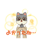 よかったね！いろいろ（個別スタンプ：1）