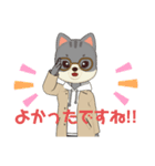 よかったね！いろいろ（個別スタンプ：15）