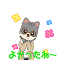 よかったね！いろいろ（個別スタンプ：19）