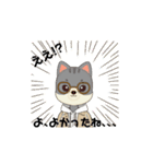 よかったね！いろいろ（個別スタンプ：20）