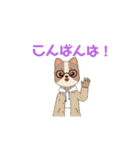 こんばんは はちわれ（個別スタンプ：1）