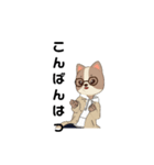 こんばんは はちわれ（個別スタンプ：6）