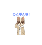 こんばんは はちわれ（個別スタンプ：7）