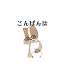 こんばんは はちわれ（個別スタンプ：10）