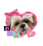ころこちゃんの日常（個別スタンプ：2）