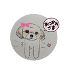 ころこちゃんの日常（個別スタンプ：6）